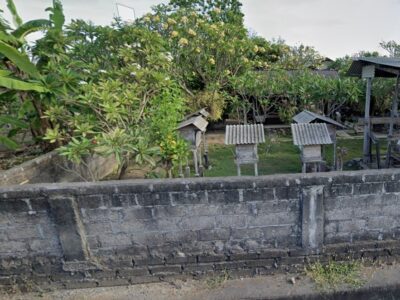 Rumah tepi sawah minimalis